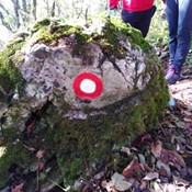 Markacističke aktivnosti Komisije za planinarske putove u Hrvatskom zagorju i Međimurju 2019. godine